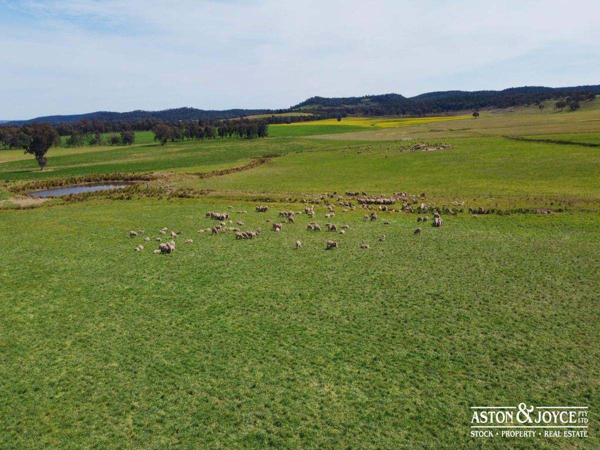 3378 Mid Western Highway, Grenfell For Sale by Farmbuy.com - image 33
