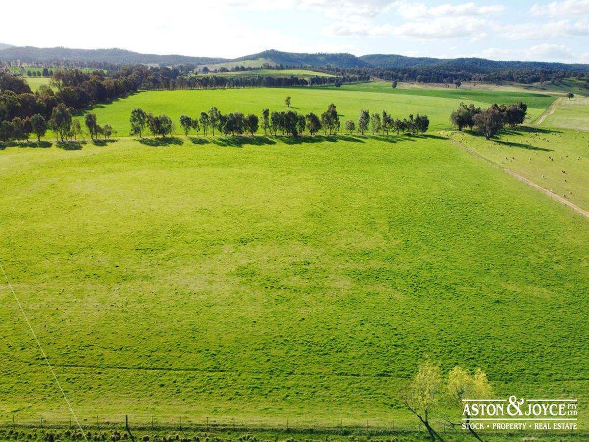 3378 Mid Western Highway, Grenfell For Sale by Farmbuy.com - image 32