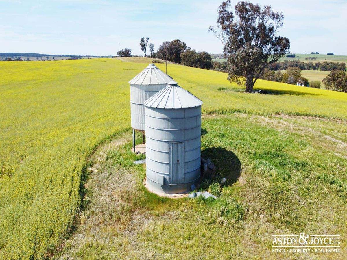 3378 Mid Western Highway, Grenfell For Sale by Farmbuy.com - image 39