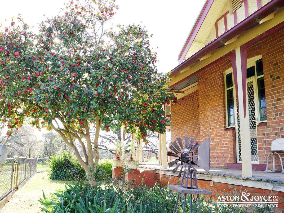 3378 Mid Western Highway, Grenfell For Sale by Farmbuy.com - image 19