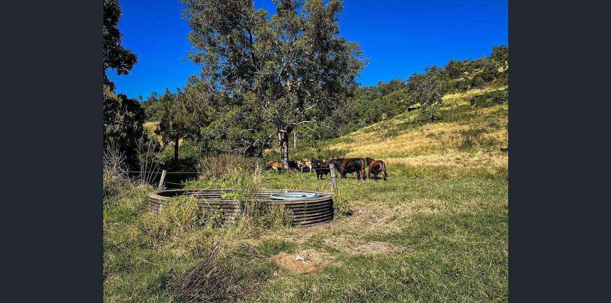 2549 Gympie-Woolooga Road, Widgee For Sale by Farmbuy.com - image 16