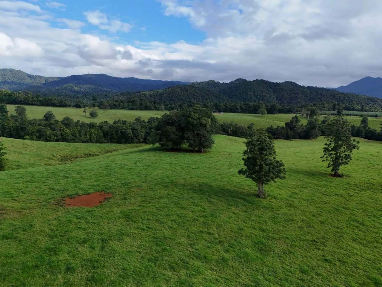 720 Pullom Road,  Nerada Expressions of Interest by Farmbuy.com - image 1