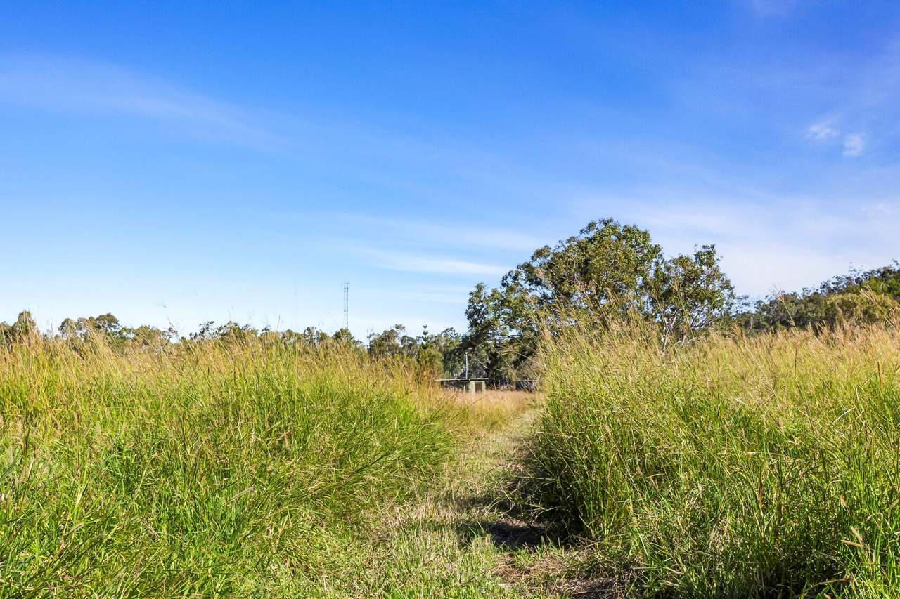 1523 Emu Park Road , Tungamull For Sale by Farmbuy.com - image 9