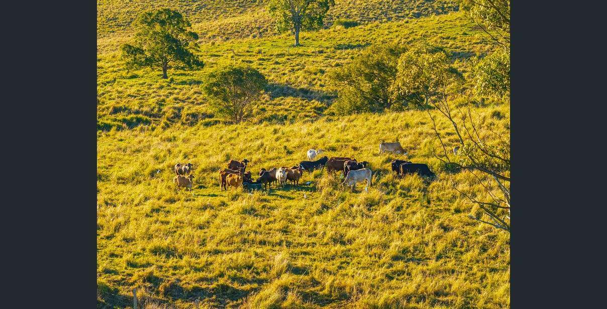 93 Cullinane Road, Mothar Mountain For Sale by Farmbuy.com - image 16
