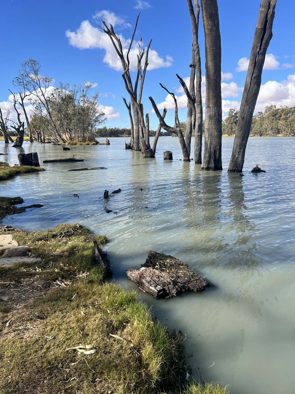 WATER LICENCE, SA - RIVER MURRAY - RIVER MURRAY ZONE CLASS 3 (IRRIGATION) For Sale by Farmbuy.com - image 1