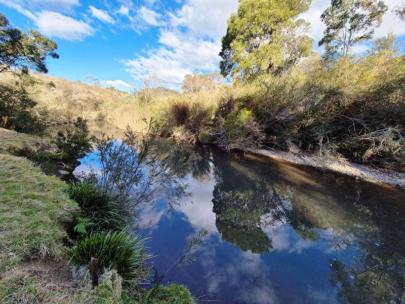 51 Briggsvale Road, Megan For Sale by Farmbuy.com - image 17