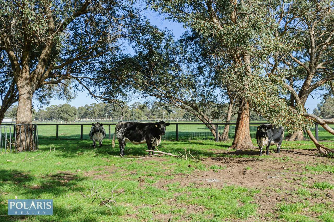 61 Ellenbrook Road, Bullsbrook For Sale by Farmbuy.com - image 31