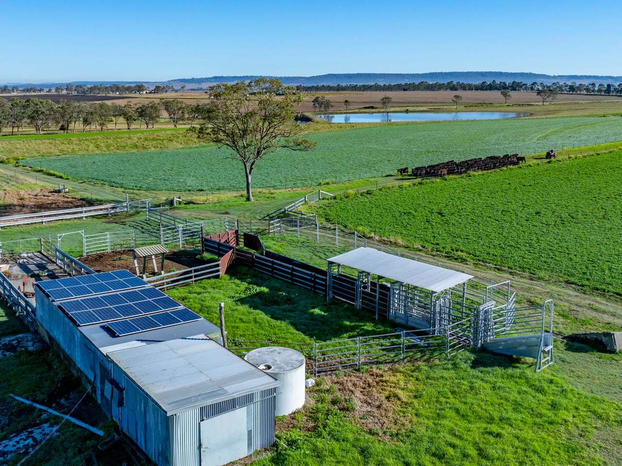 1064 Junabee Road, Warwick For Sale by Farmbuy.com - image 21