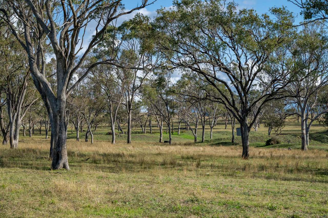 1064 Junabee Road, Warwick For Sale by Farmbuy.com - image 6