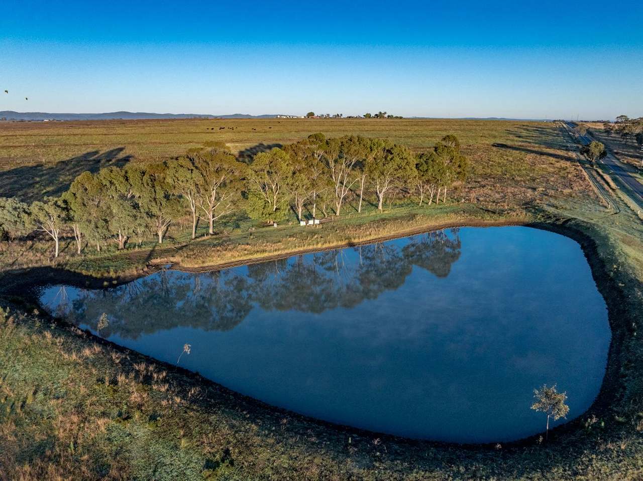 1064 Junabee Road, Warwick For Sale by Farmbuy.com - image 8
