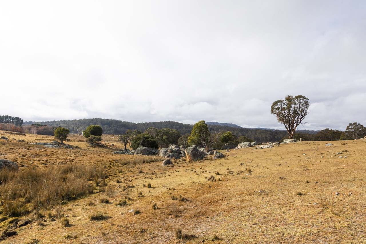 175 Tumbledown Road, Peak View Auction by Farmbuy.com - image 3