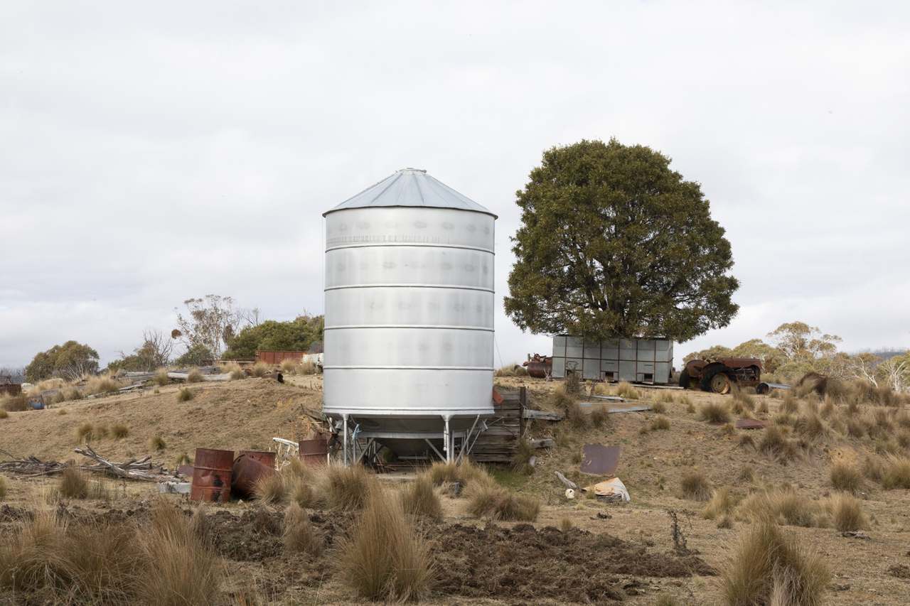 175 Tumbledown Road, Peak View Auction by Farmbuy.com - image 4