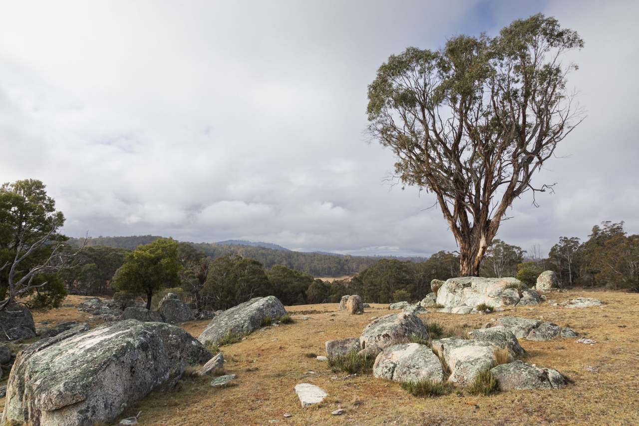 175 Tumbledown Road, Peak View Auction by Farmbuy.com - image 5