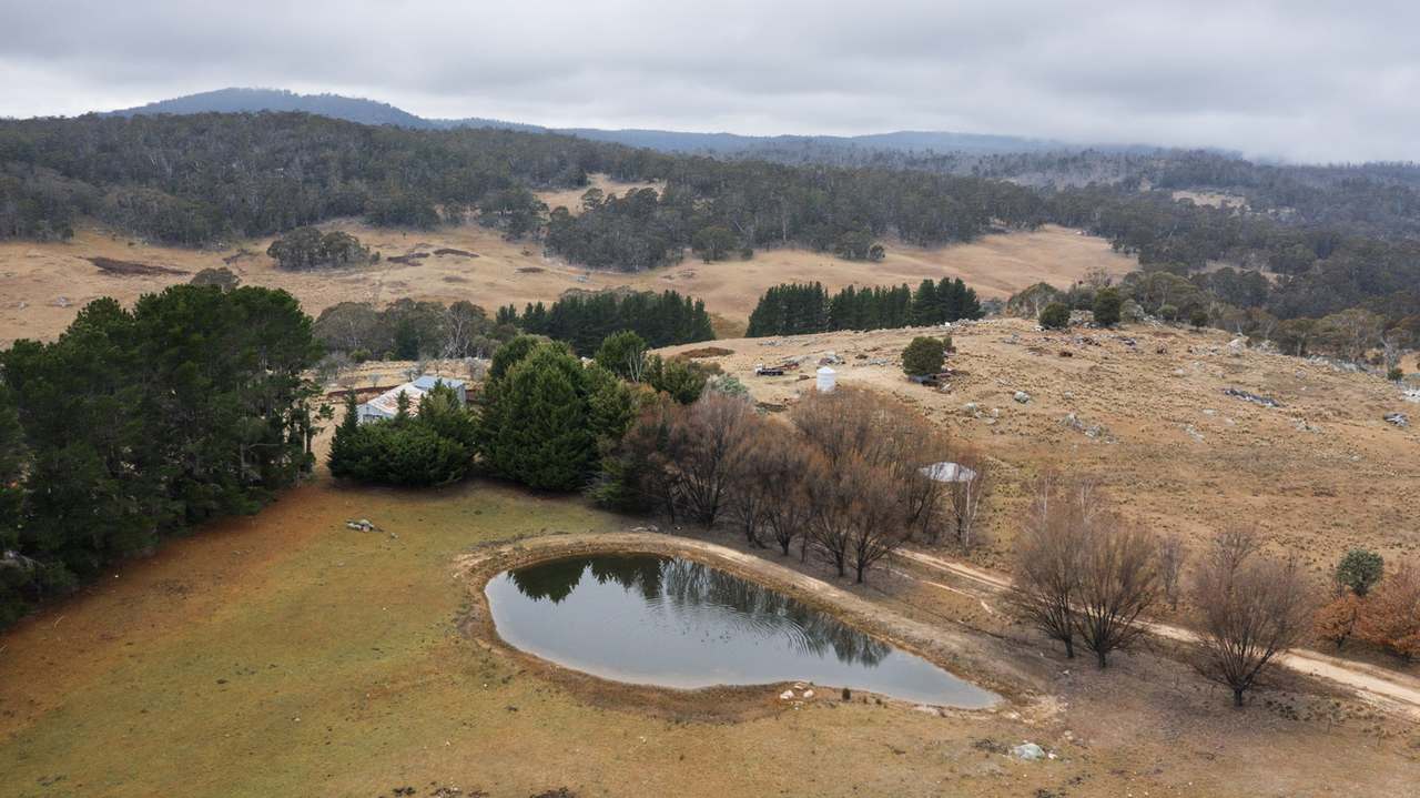 175 Tumbledown Road, Peak View Auction by Farmbuy.com - image 2