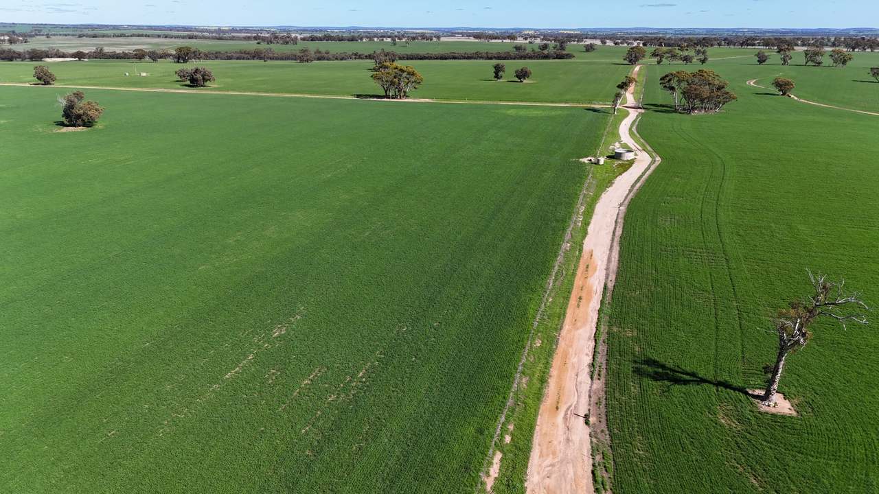Lot 14 Calingiri-Goomalling Road , Calingiri Expressions of Interest by Farmbuy.com - image 4