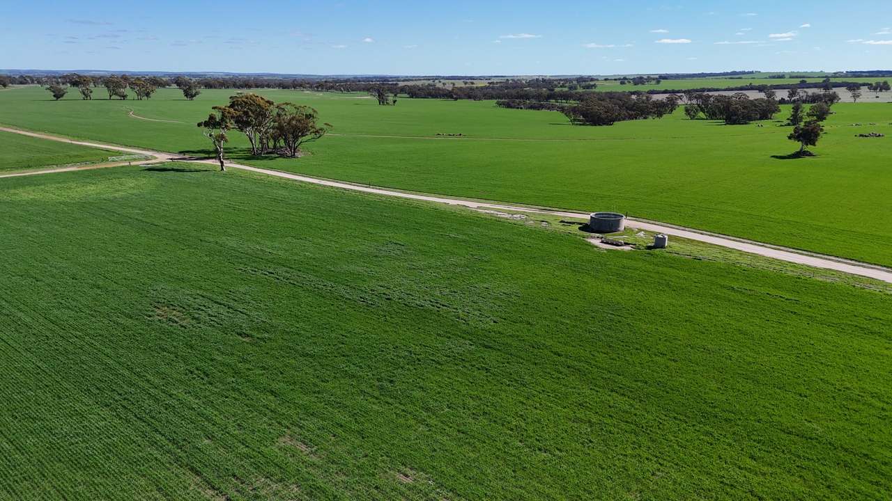 Lot 14 Calingiri-Goomalling Road , Calingiri Expressions of Interest by Farmbuy.com - image 5