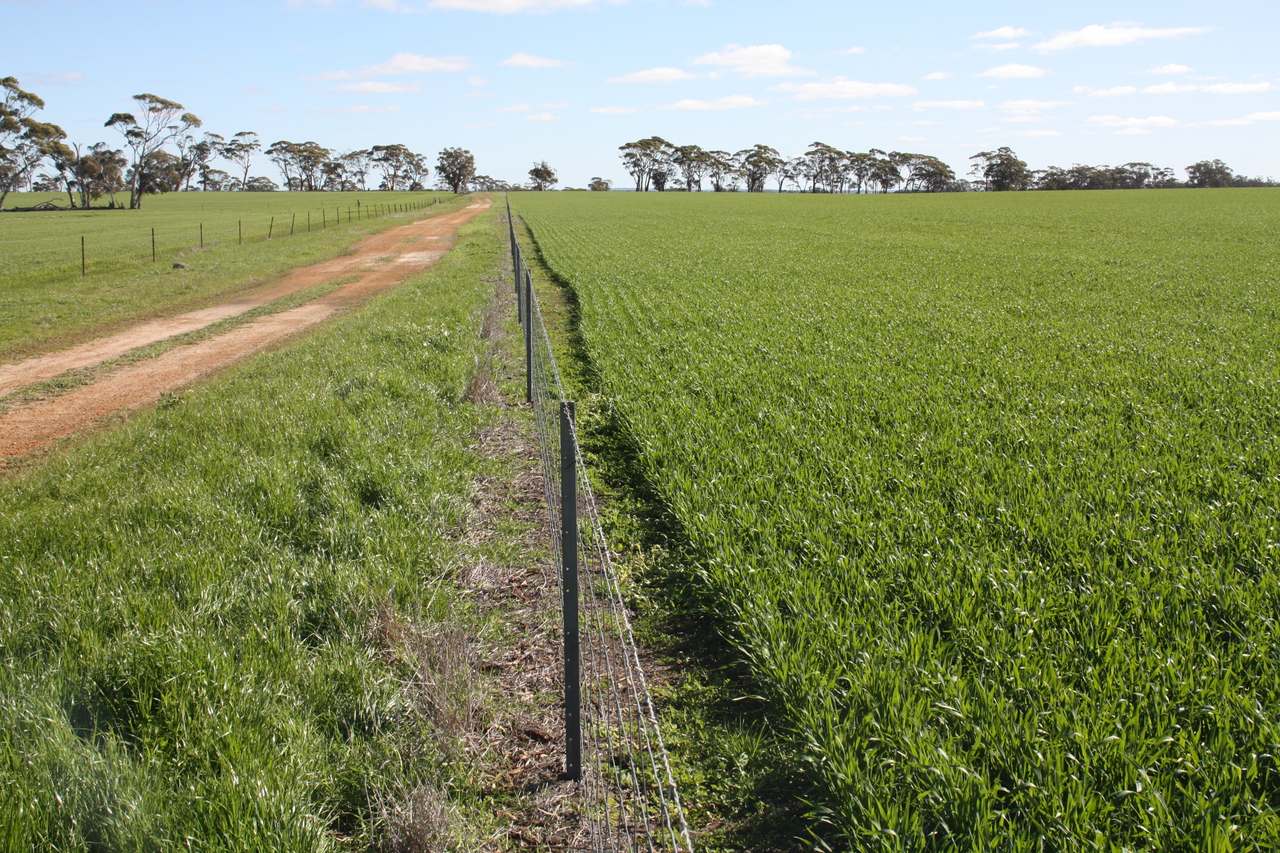 Lot 14 Calingiri-Goomalling Road , Calingiri Expressions of Interest by Farmbuy.com - image 2