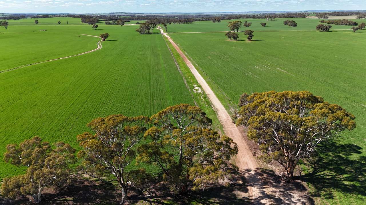 Lot 14 Calingiri-Goomalling Road , Calingiri Expressions of Interest by Farmbuy.com - image 7
