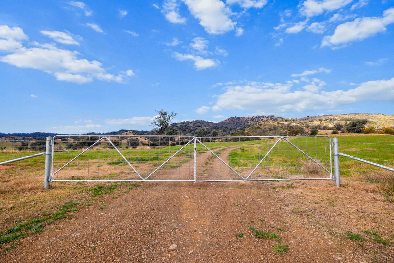 632 Bereen Road, Upper Horton Auction by Farmbuy.com - image 13