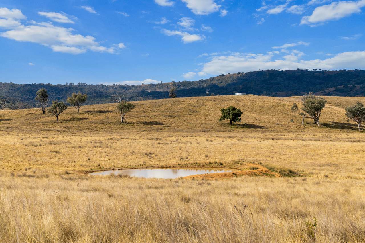 632 Bereen Road, Upper Horton Auction by Farmbuy.com - image 11