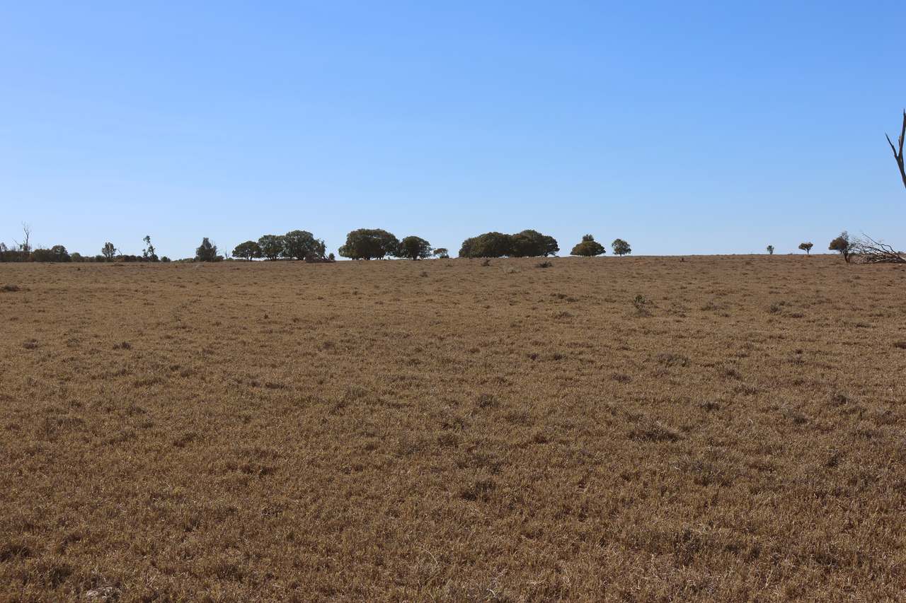 Blackwater Rolleston Road, Rolleston For Sale by Farmbuy.com - image 5