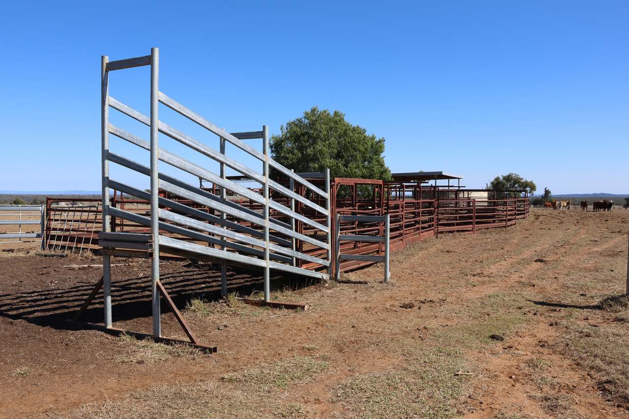 Blackwater Rolleston Road, Rolleston For Sale by Farmbuy.com - image 13