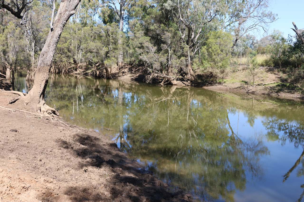 Blackwater Rolleston Road, Rolleston For Sale by Farmbuy.com - image 7