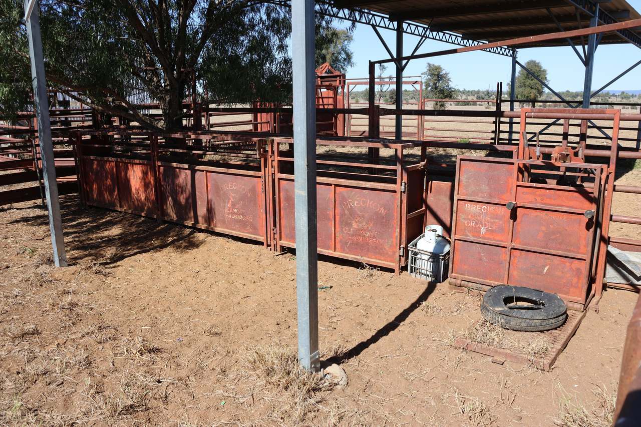 Blackwater Rolleston Road, Rolleston For Sale by Farmbuy.com - image 14