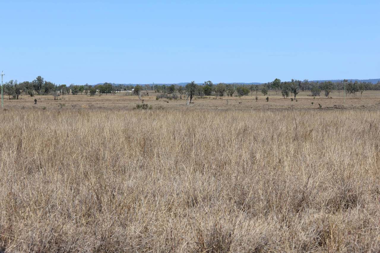Blackwater Rolleston Road, Rolleston For Sale by Farmbuy.com - image 2