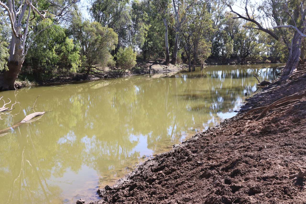 Blackwater Rolleston Road, Rolleston For Sale by Farmbuy.com - image 6
