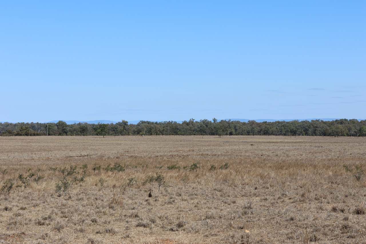 Blackwater Rolleston Road, Rolleston For Sale by Farmbuy.com - image 3