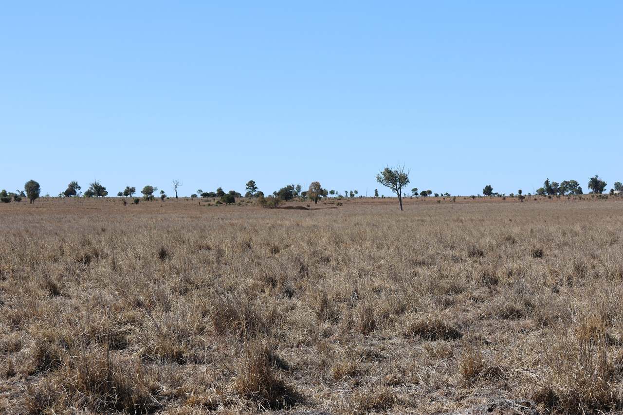 Blackwater Rolleston Road, Rolleston For Sale by Farmbuy.com - image 4