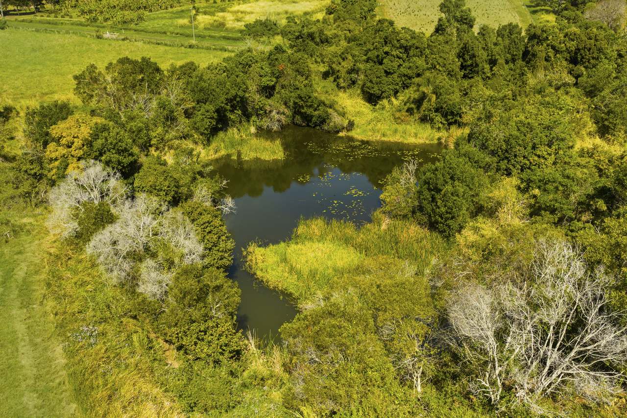 211 Henry Road, Goomboorian For Sale by Farmbuy.com - image 35