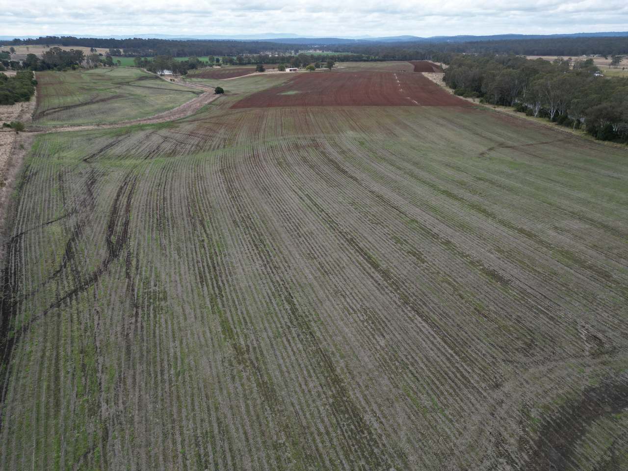Lot 6 Wesslings Road, Wondai For Sale by Farmbuy.com - image 10