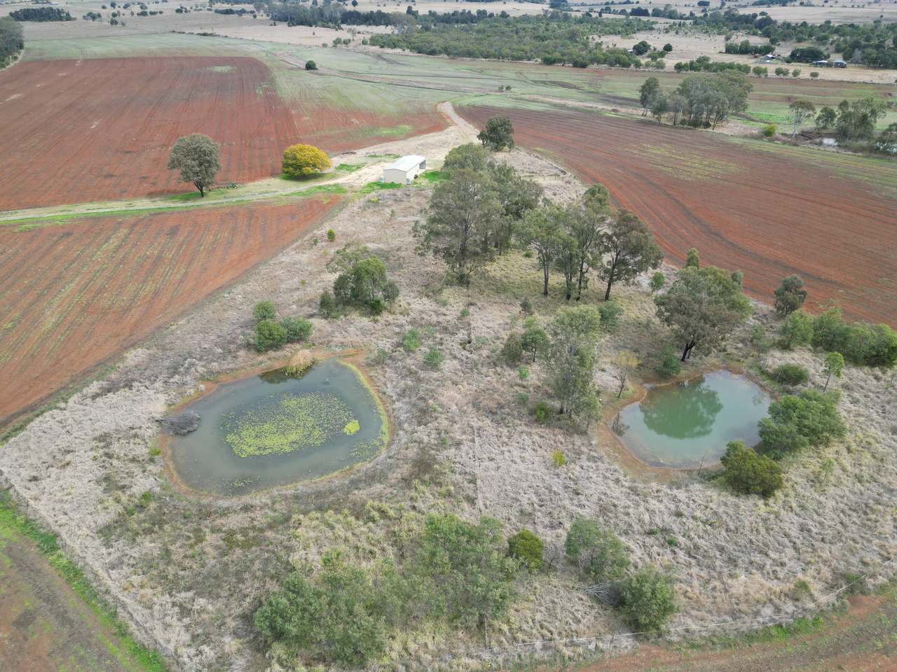 Lot 6 Wesslings Road, Wondai For Sale by Farmbuy.com - image 3