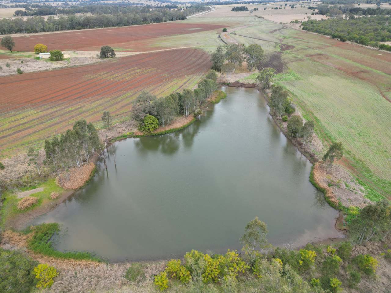 Lot 6 Wesslings Road, Wondai For Sale by Farmbuy.com - image 5