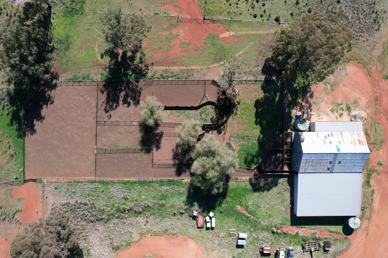 Plevna North, Boorr Hill Road, Trundle For Sale by Farmbuy.com - image 5