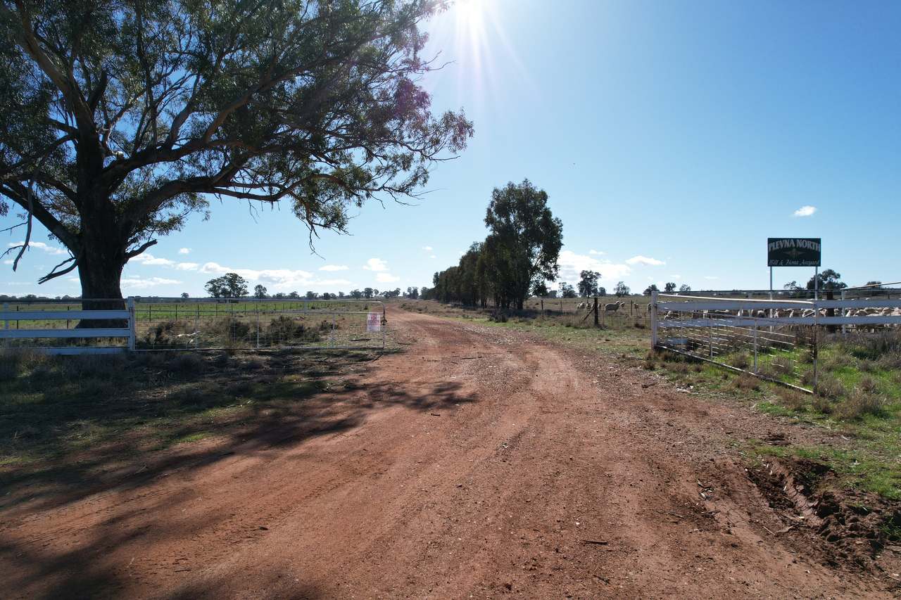 Plevna North, Boorr Hill Road, Trundle For Sale by Farmbuy.com - image 10