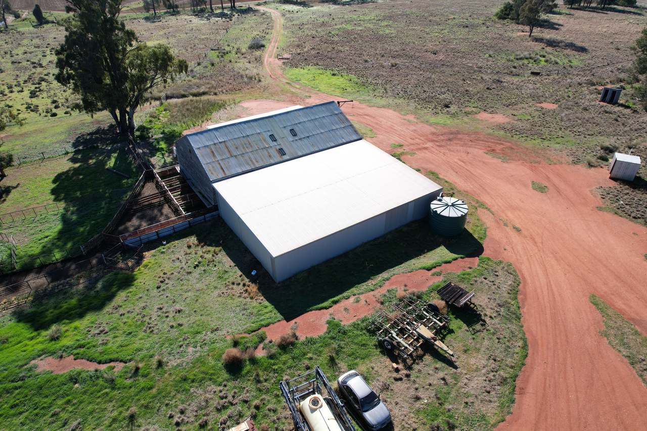 Plevna North, Boorr Hill Road, Trundle For Sale by Farmbuy.com - image 6