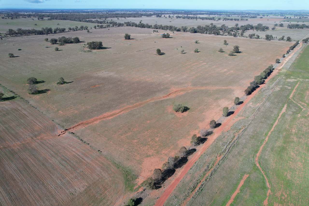 Plevna North, Boorr Hill Road, Trundle For Sale by Farmbuy.com - image 3
