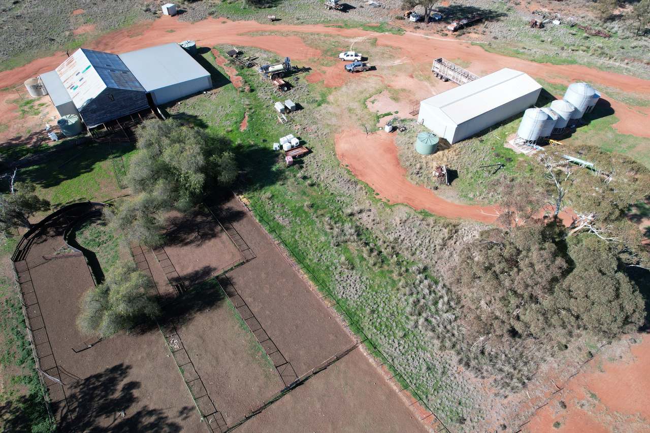 Plevna North, Boorr Hill Road, Trundle For Sale by Farmbuy.com - image 7