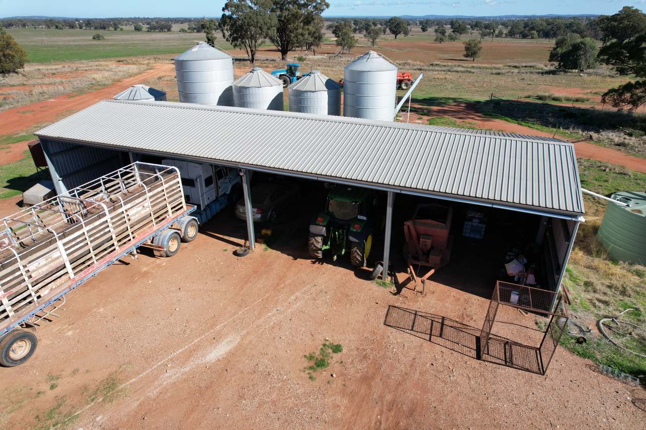 Plevna North, Boorr Hill Road, Trundle For Sale by Farmbuy.com - image 9