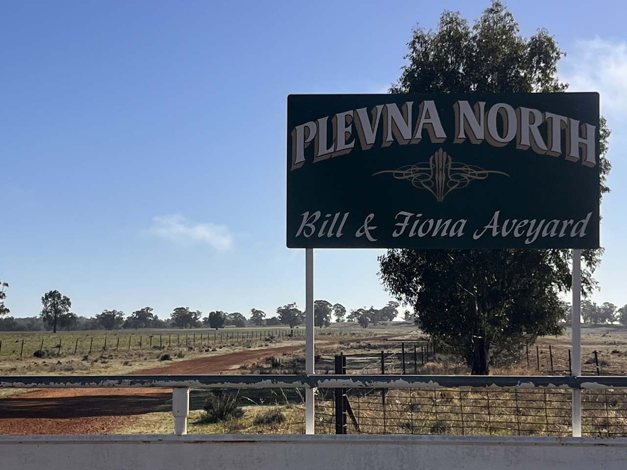 Plevna North, Boorr Hill Road, Trundle For Sale by Farmbuy.com - image 2