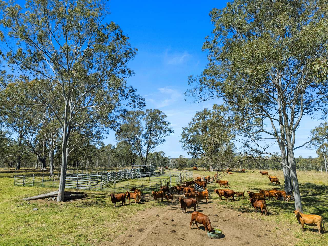 1974 Bauple Woolooga Road, Miva Auction by Farmbuy.com - image 8