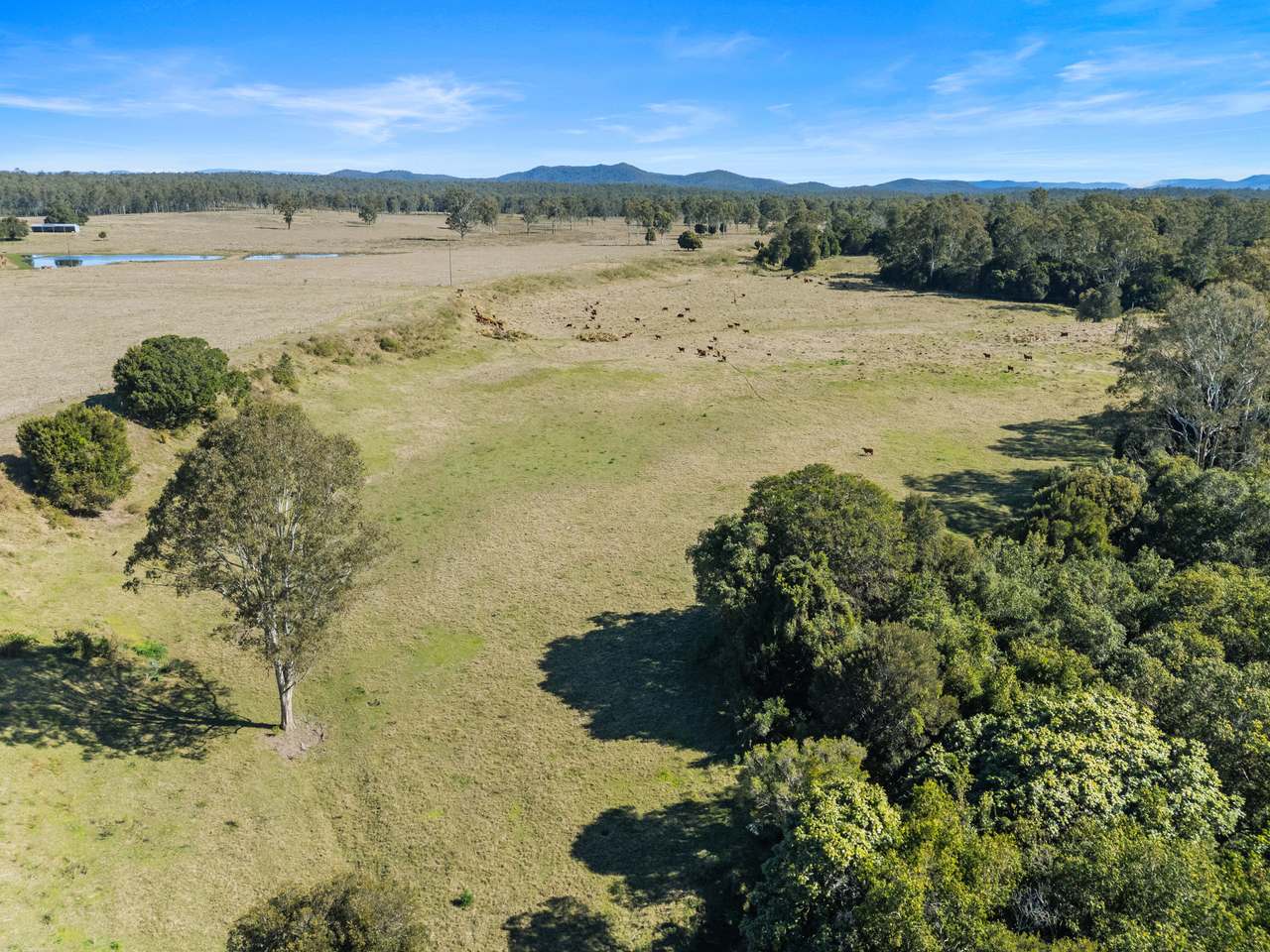 1974 Bauple Woolooga Road, Miva Auction by Farmbuy.com - image 14