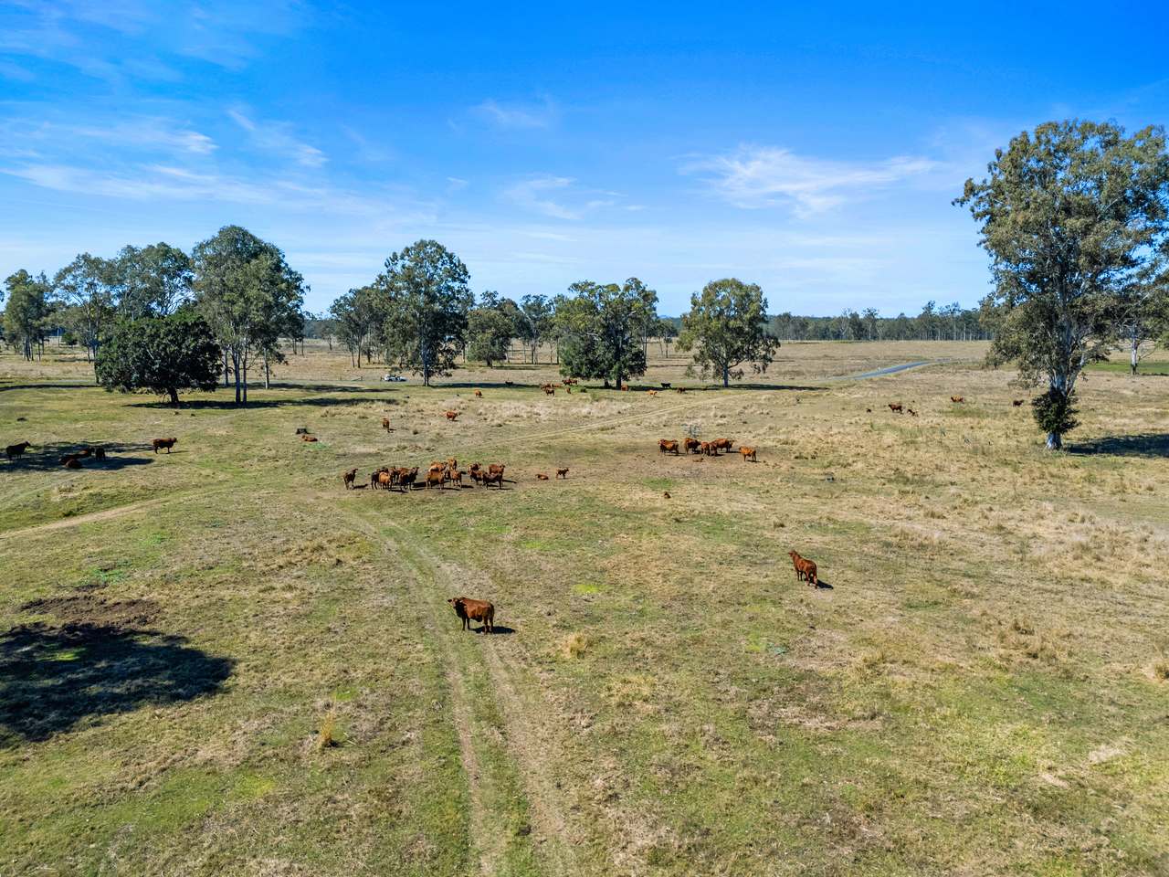 1974 Bauple Woolooga Road, Miva Auction by Farmbuy.com - image 18