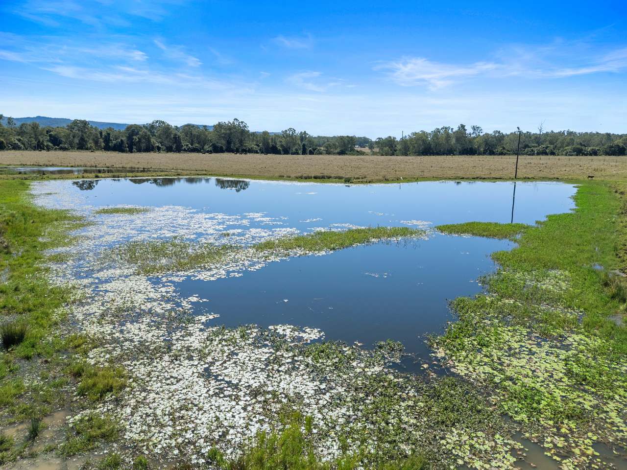 1974 Bauple Woolooga Road, Miva Auction by Farmbuy.com - image 2