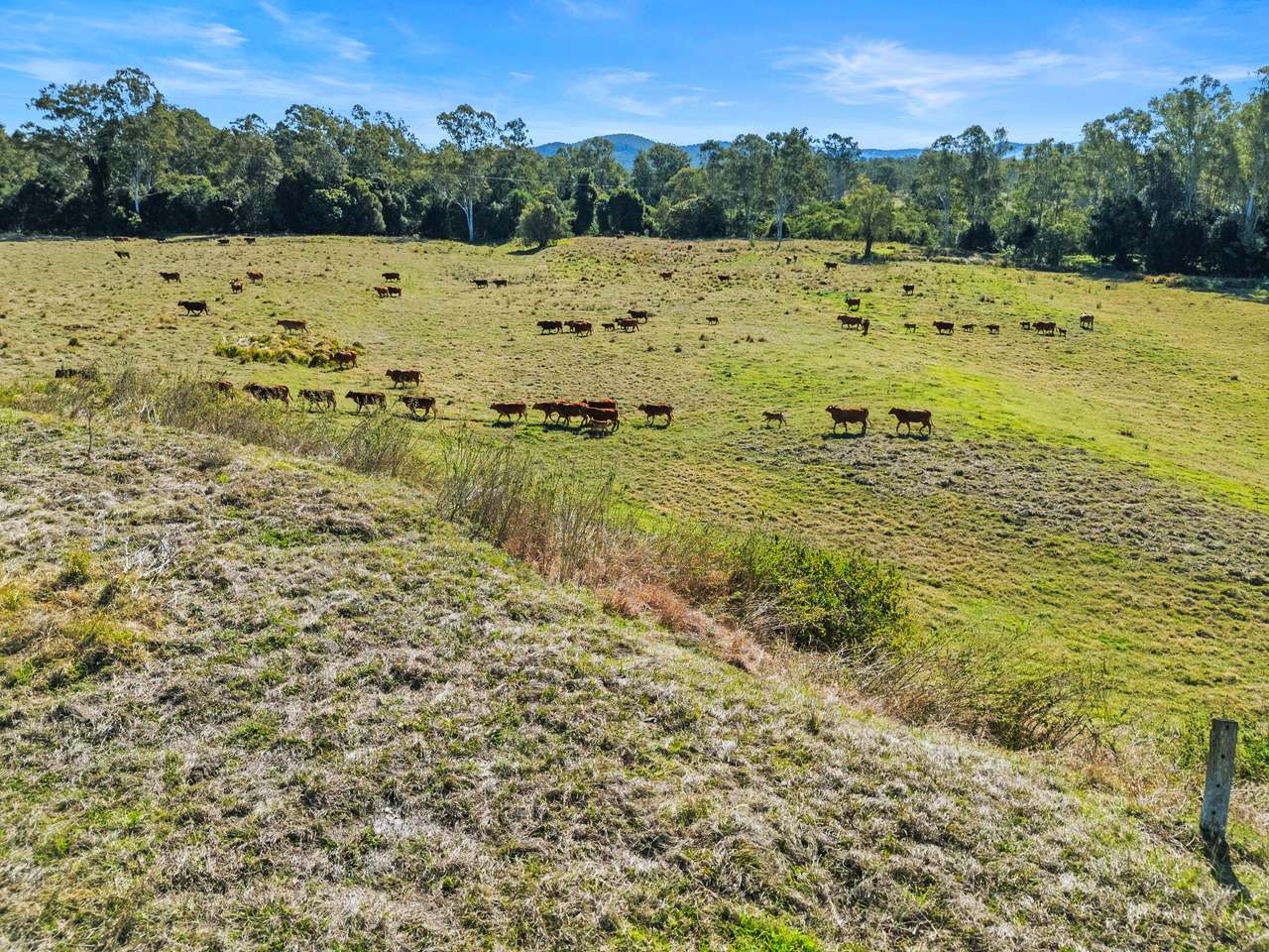 1974 Bauple Woolooga Road, Miva Auction by Farmbuy.com - image 10