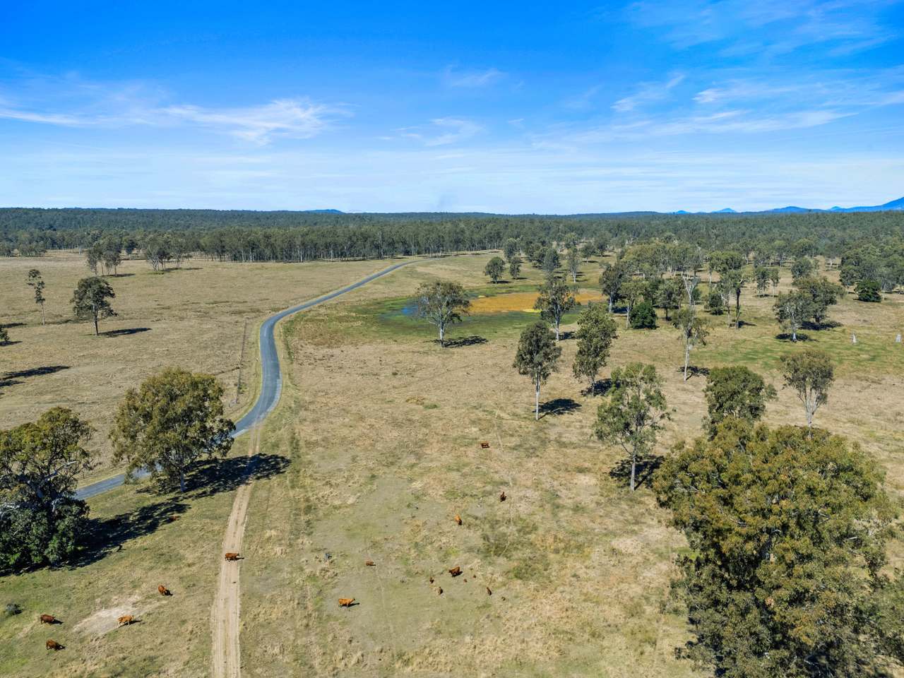 1974 Bauple Woolooga Road, Miva Auction by Farmbuy.com - image 16
