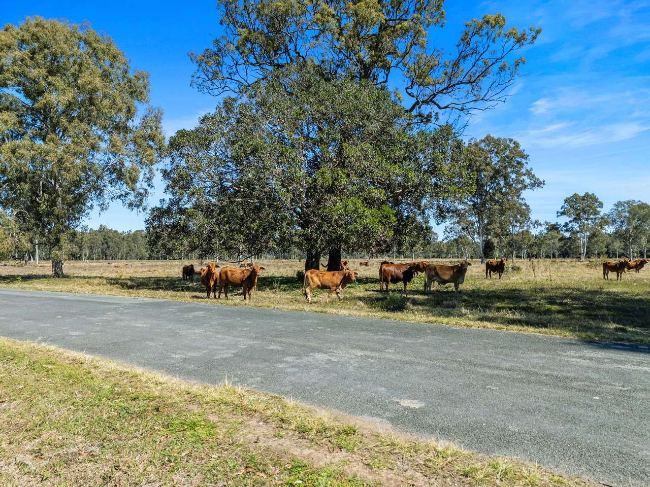 1974 Bauple Woolooga Road, Miva Auction by Farmbuy.com - image 15